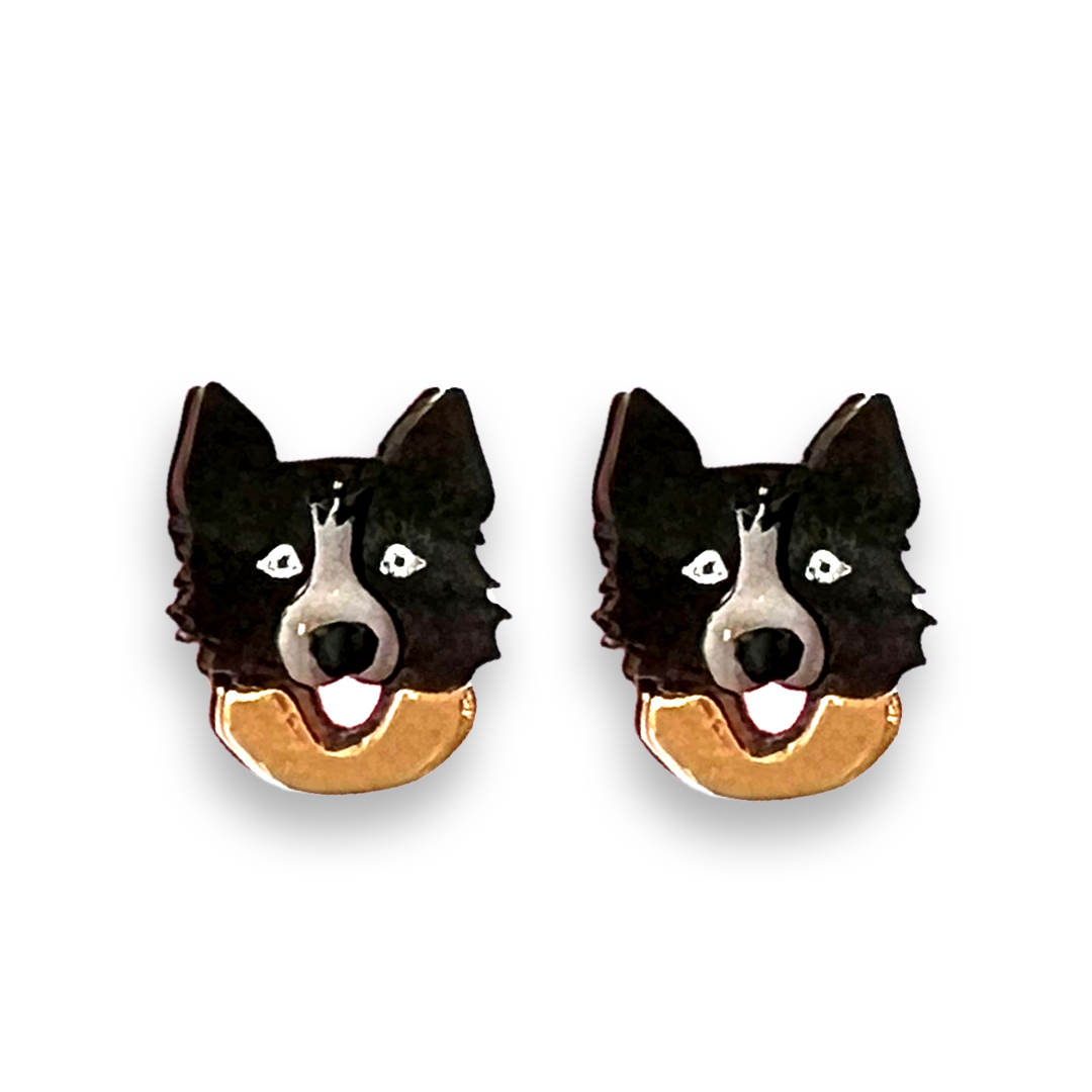 Border Collie Studs