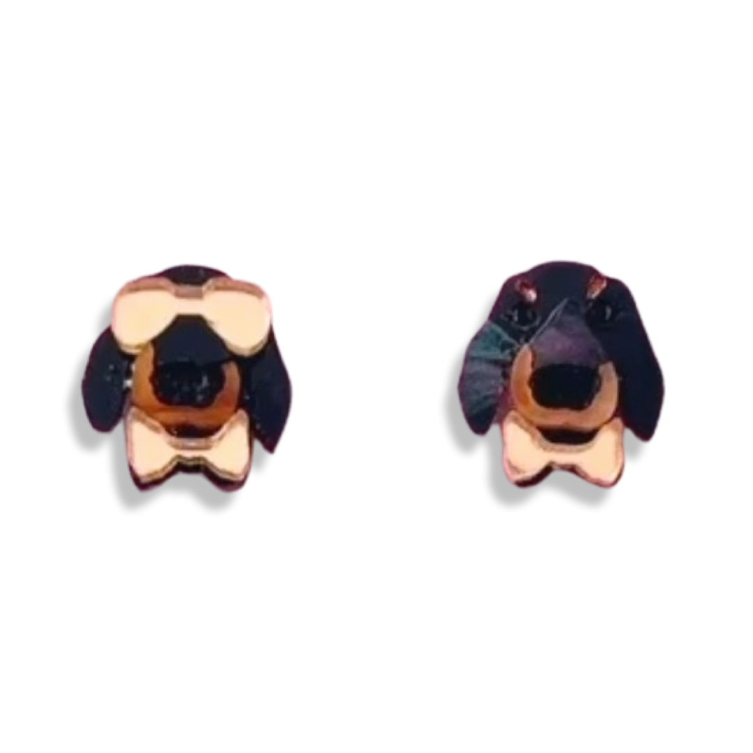 Dachshund Studs