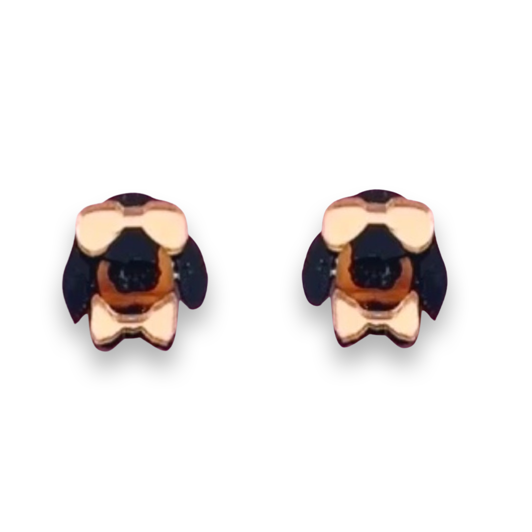 Dachshund Studs