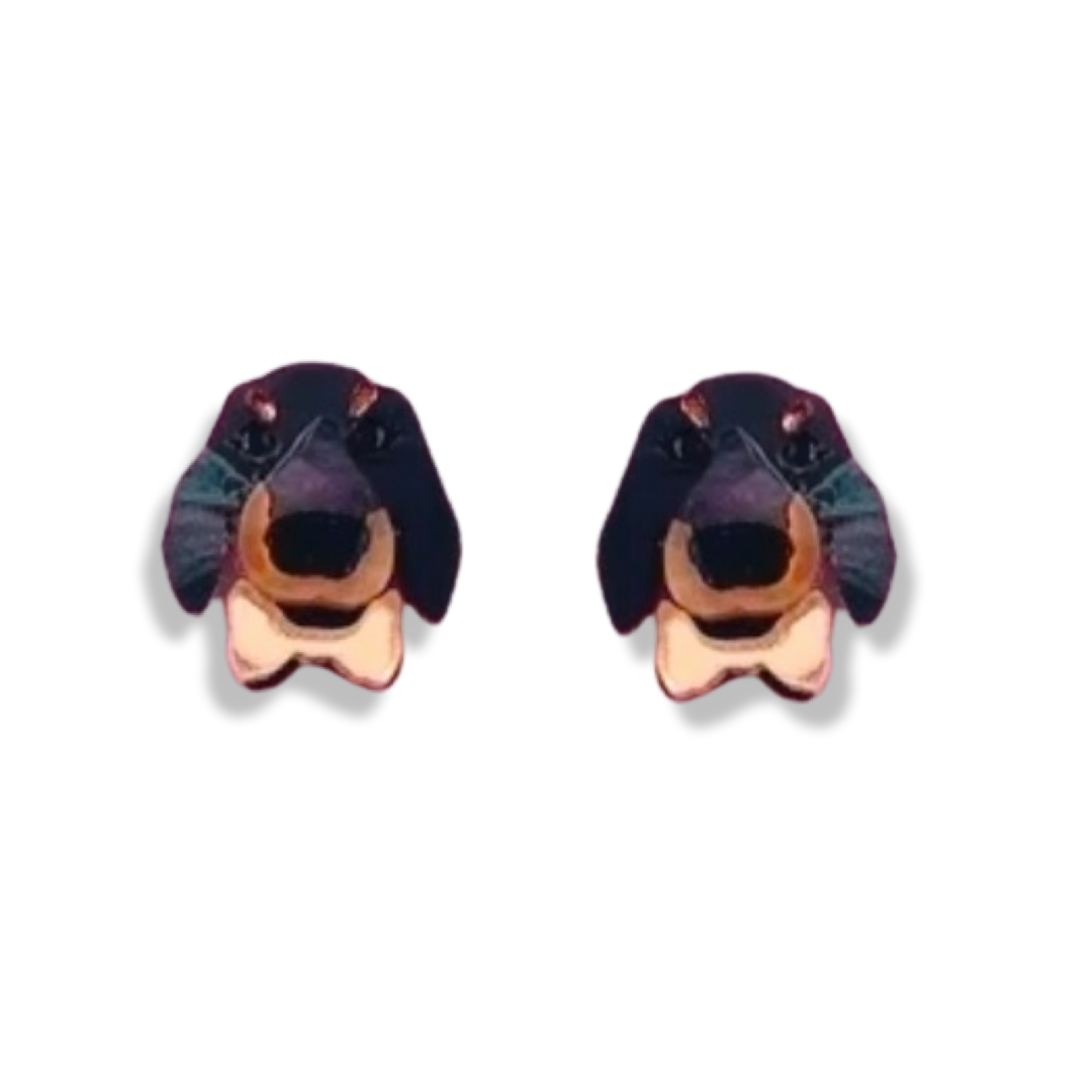 Dachshund Studs