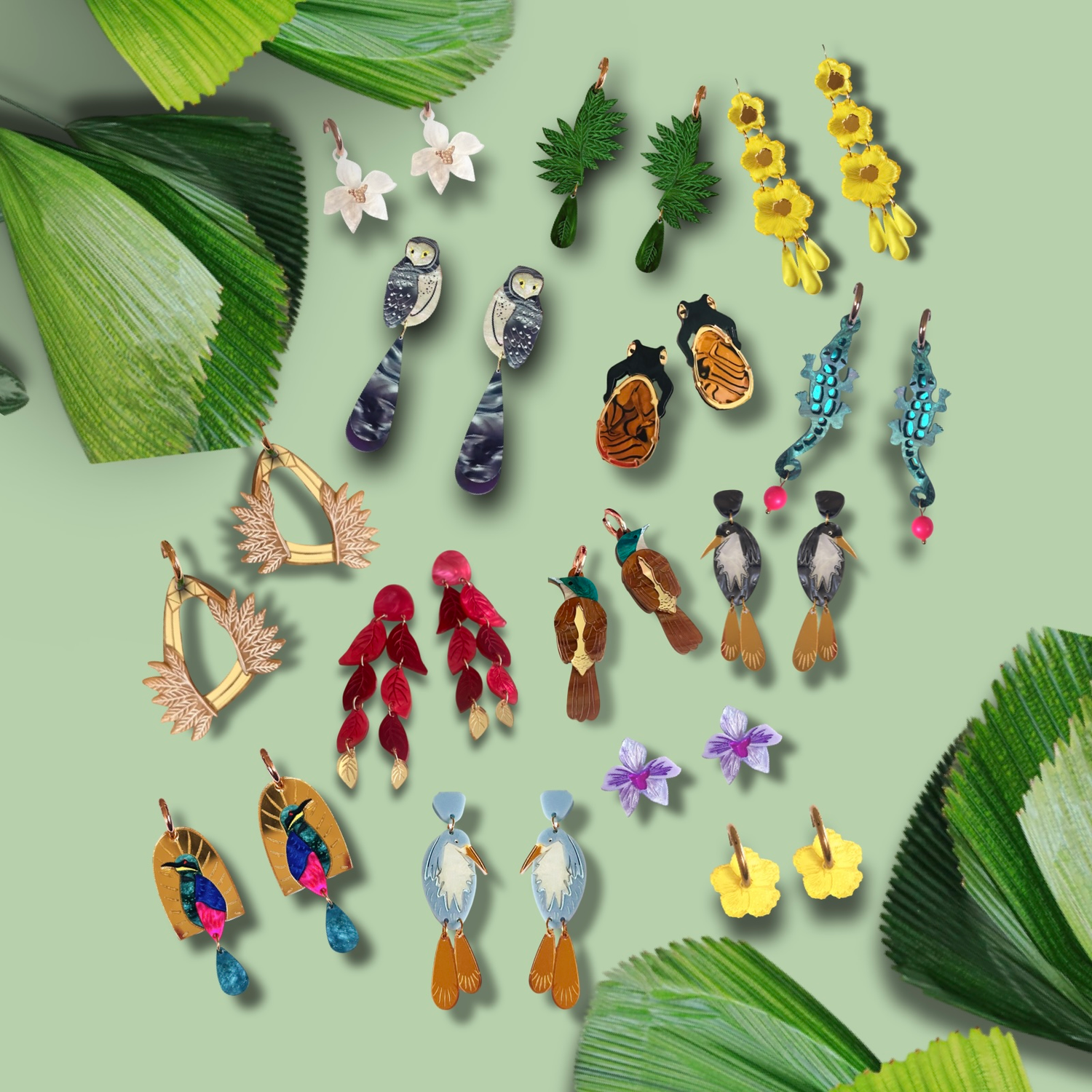 Daintree and Friends