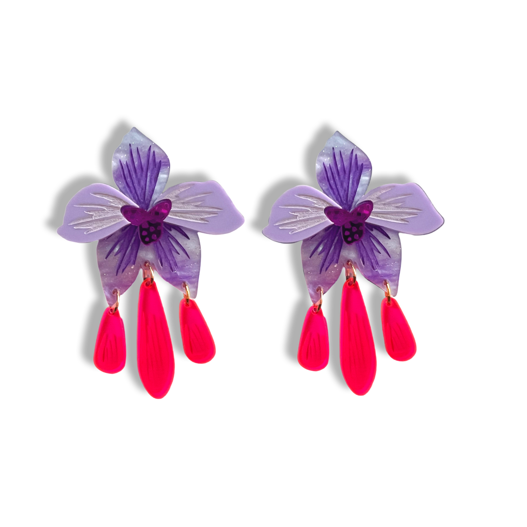 Ground Orchid with Pink Drops