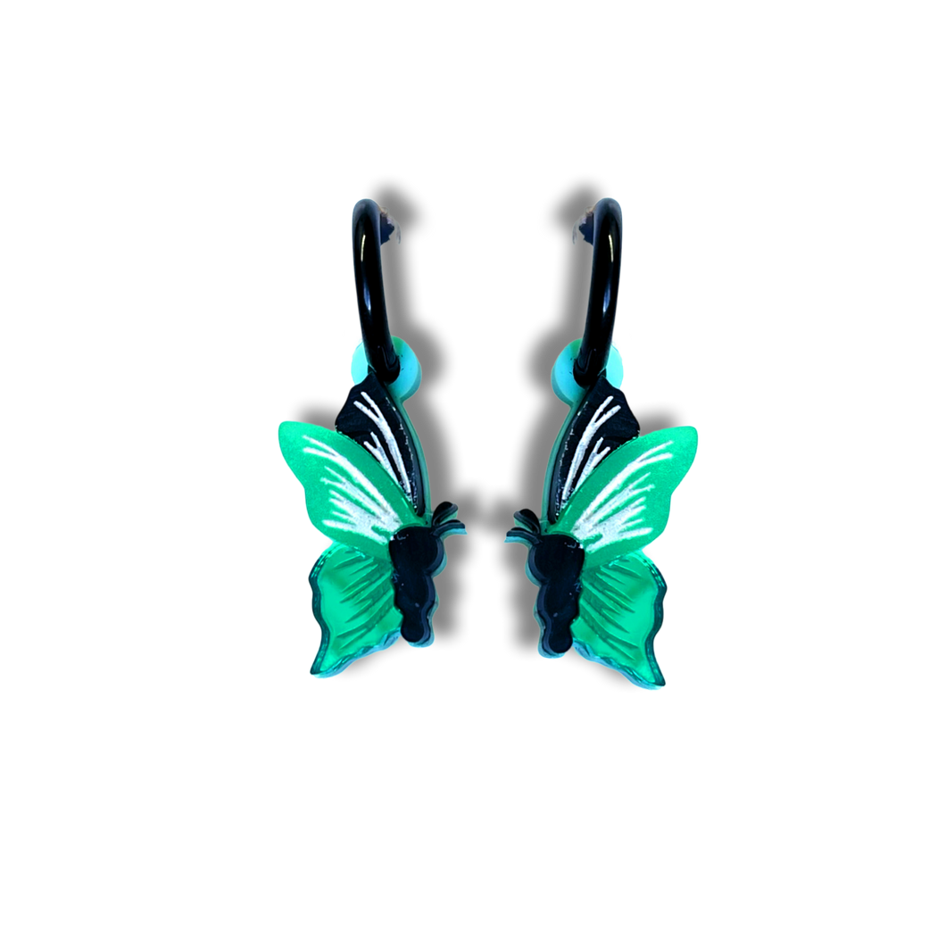 Ornithoptera Butterfly - Small
