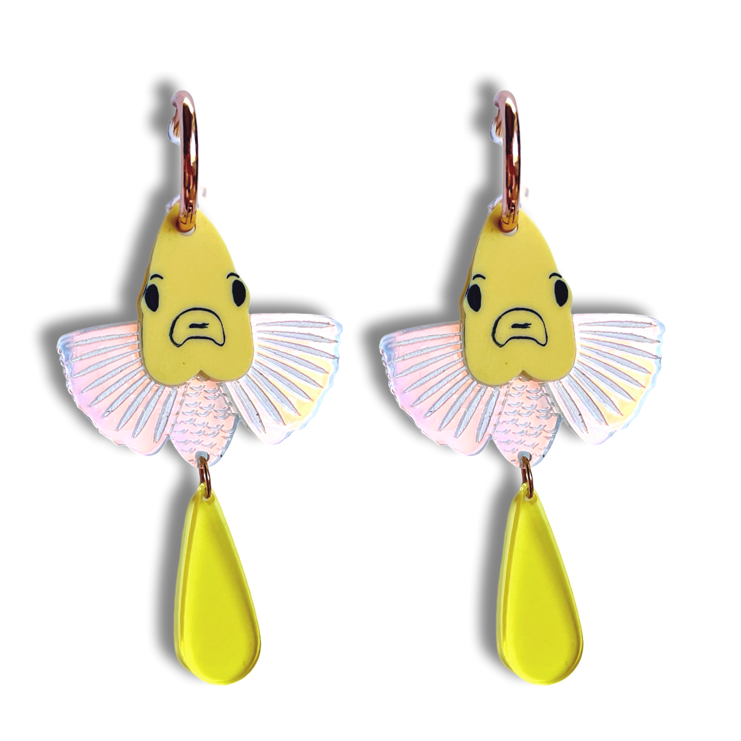 Great Barrier Reef - Iridescent