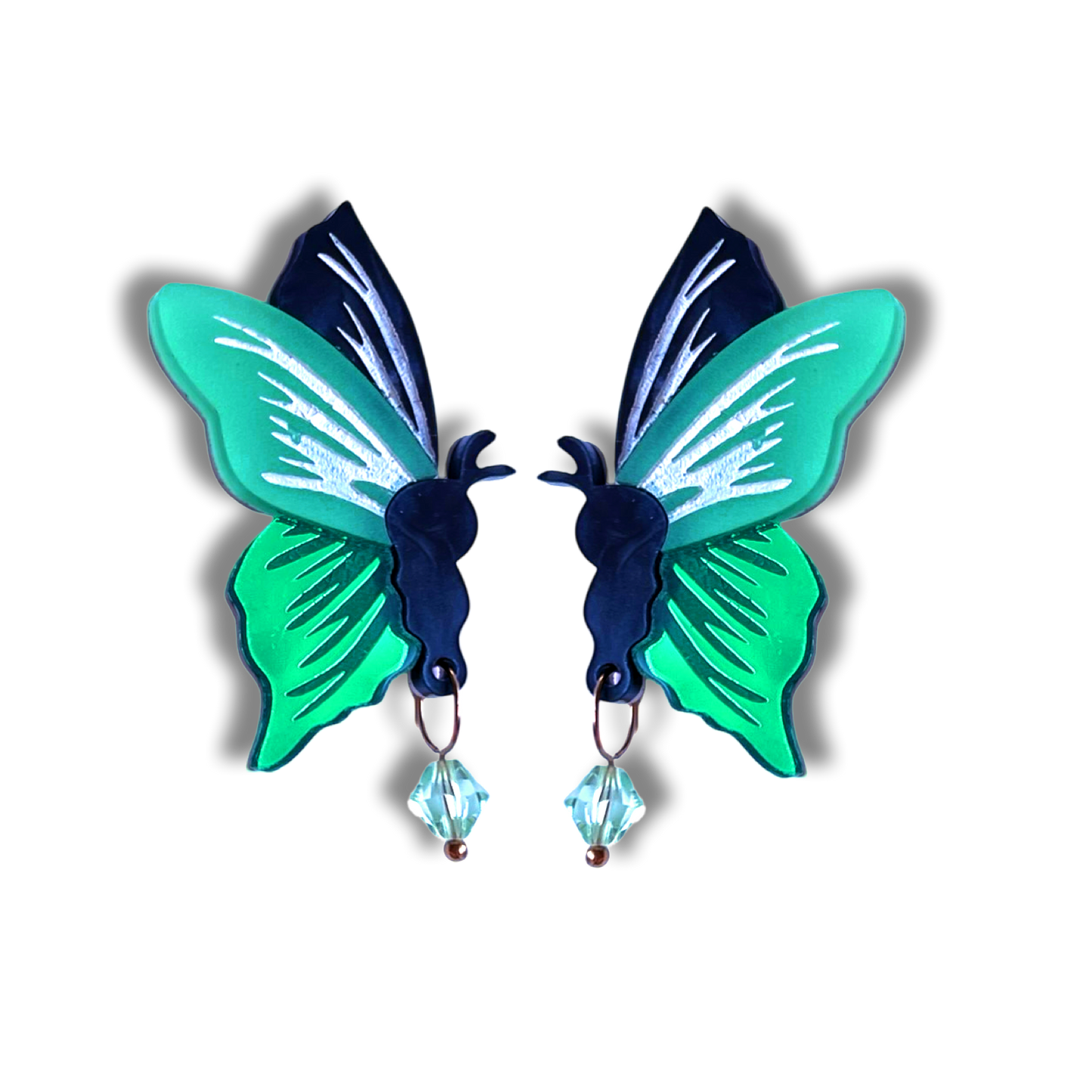 Ornithoptera Butterfly - Large