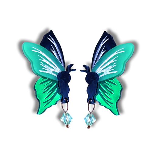 Ornithoptera Butterfly - Large