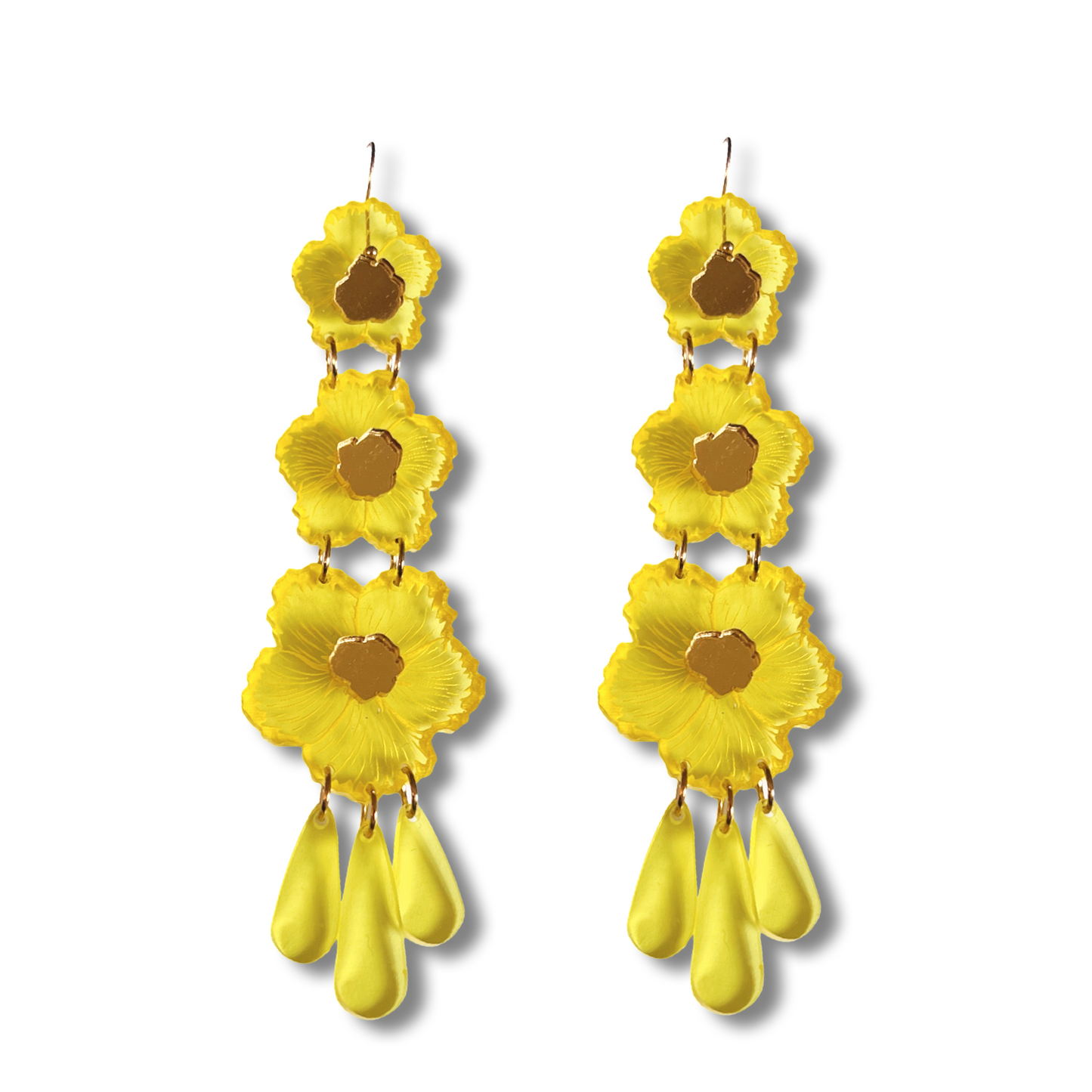 Yellow Hibiscus Blooms