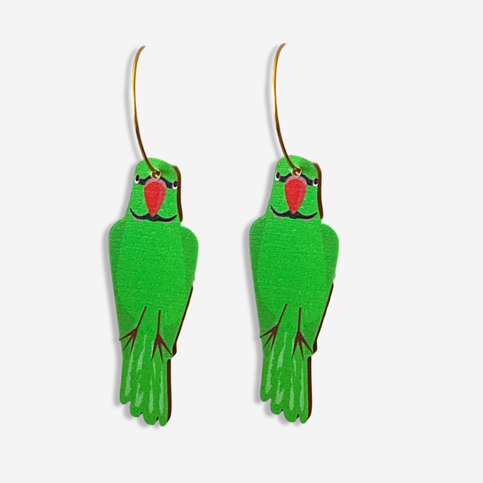 Vonnie our Indian Ringneck Parrot