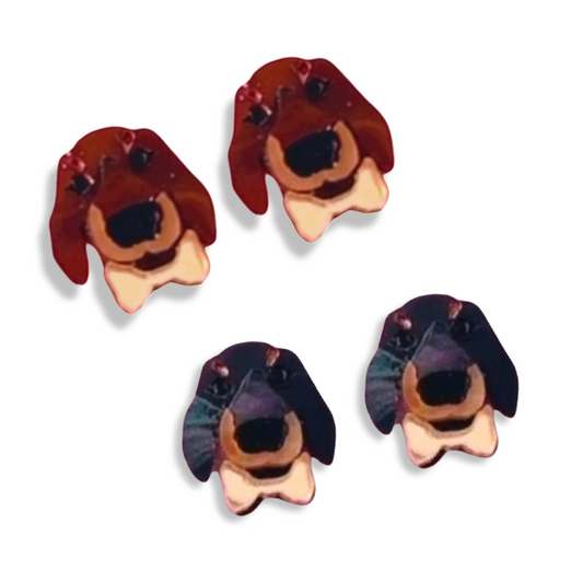 Dachshund Studs