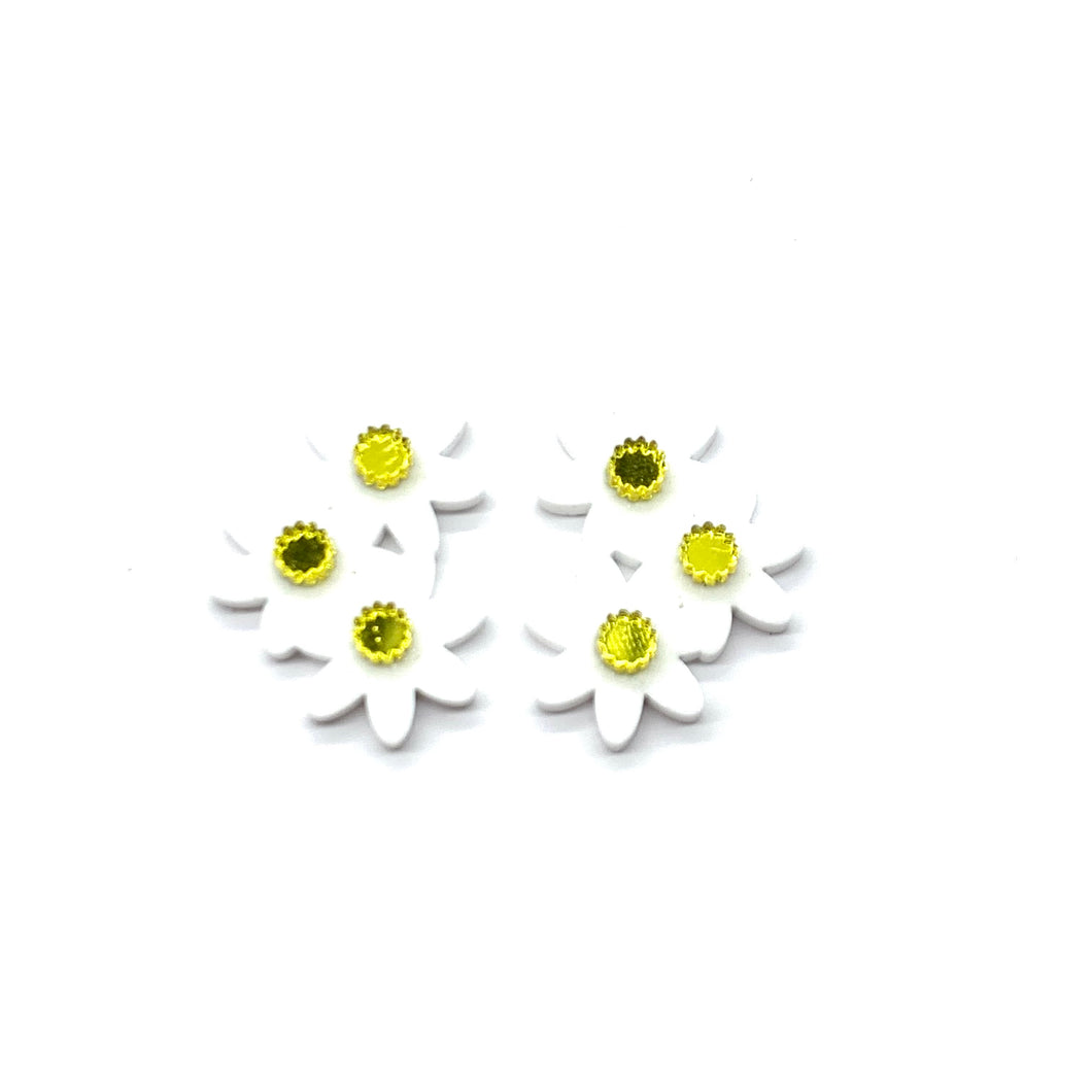 Flower Clusters Daisy
