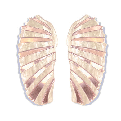 Angel Wing Shells
